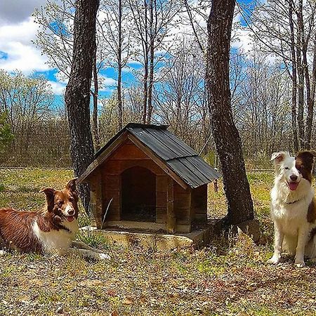 Cabanas Vallecino Manzanal de los Infantes Екстериор снимка