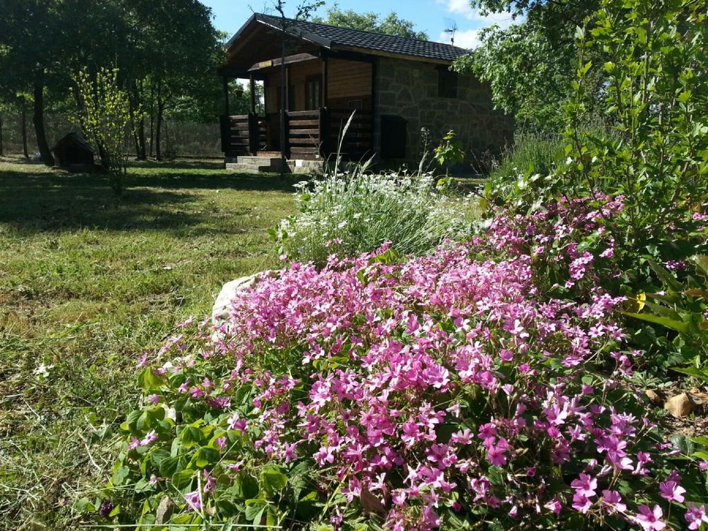 Cabanas Vallecino Manzanal de los Infantes Екстериор снимка