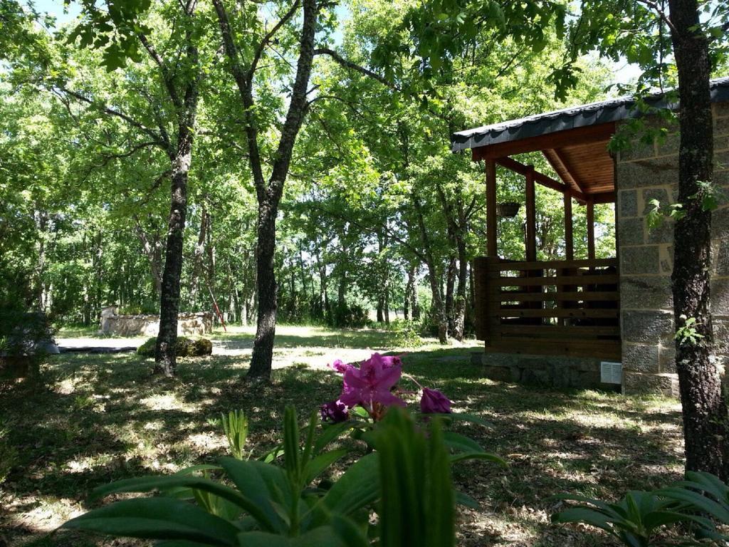 Cabanas Vallecino Manzanal de los Infantes Екстериор снимка