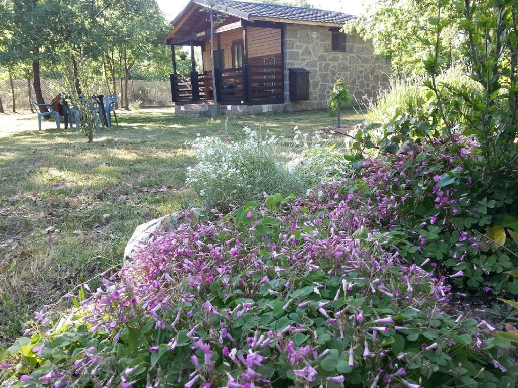 Cabanas Vallecino Manzanal de los Infantes Екстериор снимка