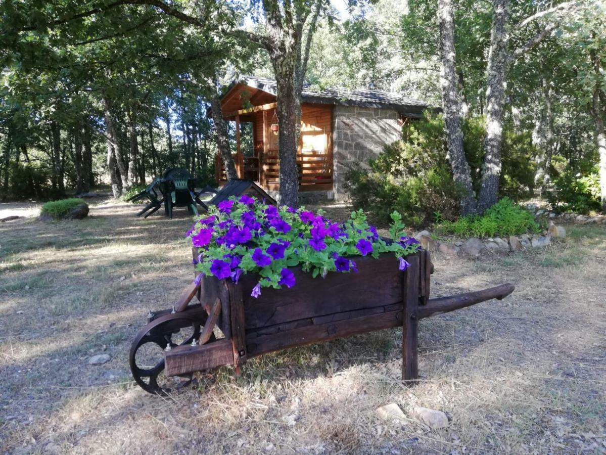 Cabanas Vallecino Manzanal de los Infantes Екстериор снимка