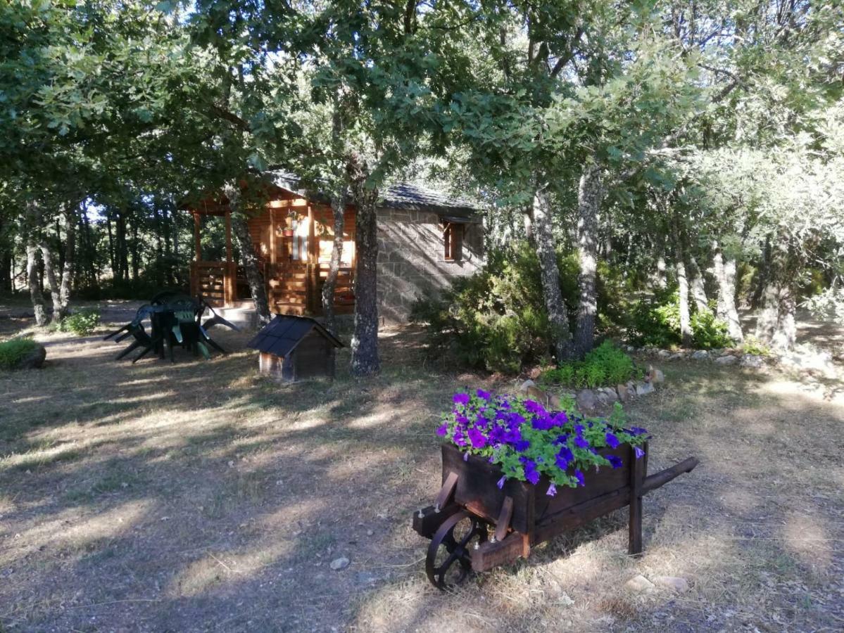Cabanas Vallecino Manzanal de los Infantes Екстериор снимка