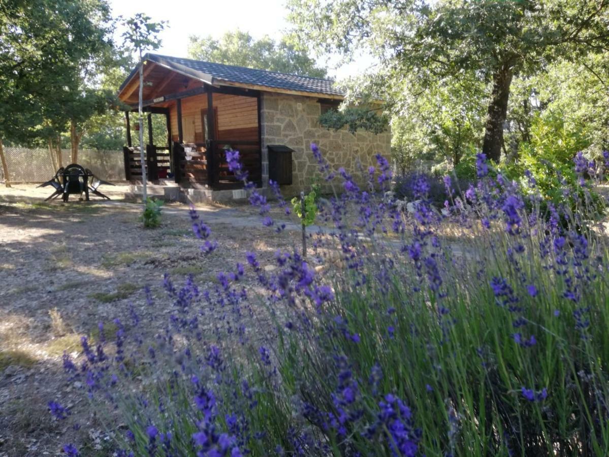 Cabanas Vallecino Manzanal de los Infantes Екстериор снимка