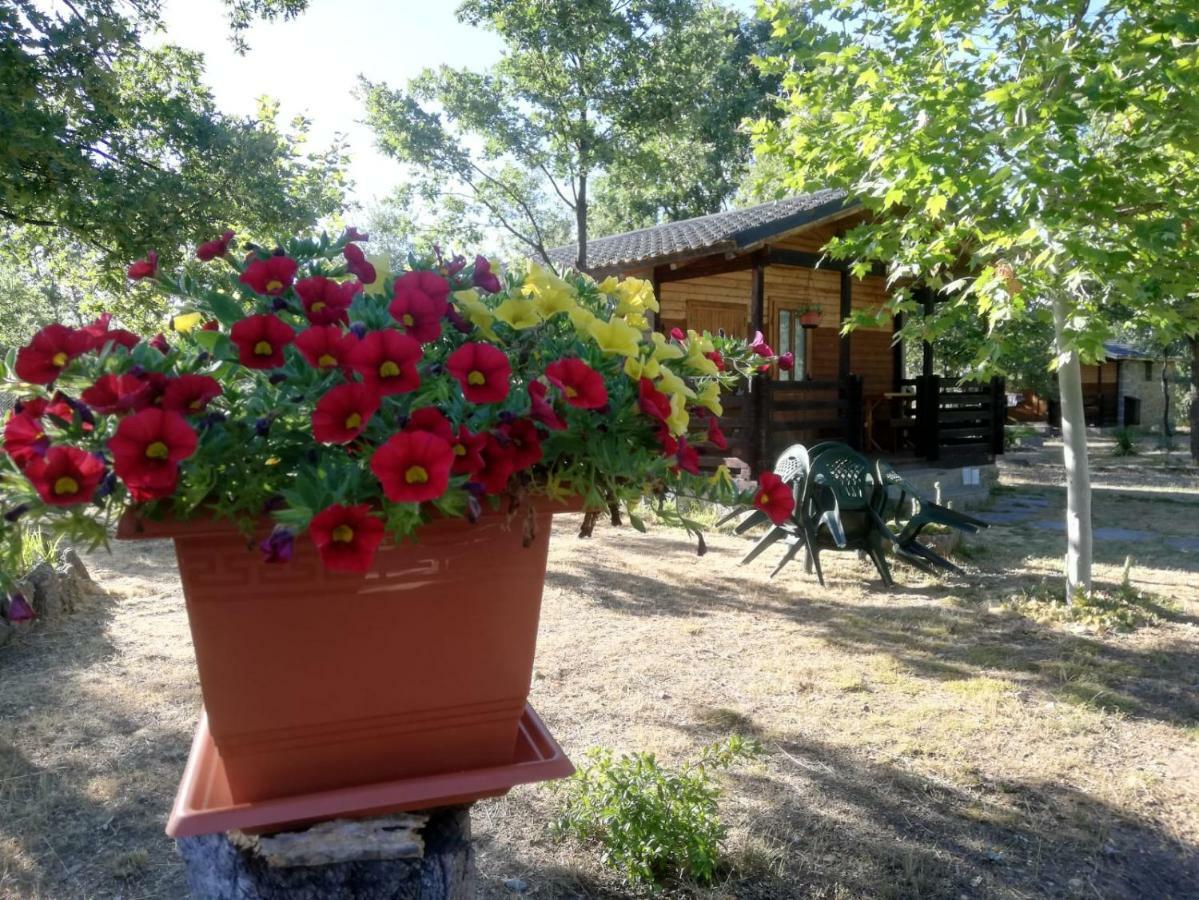 Cabanas Vallecino Manzanal de los Infantes Екстериор снимка