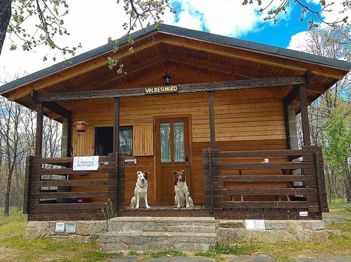 Cabanas Vallecino Manzanal de los Infantes Екстериор снимка